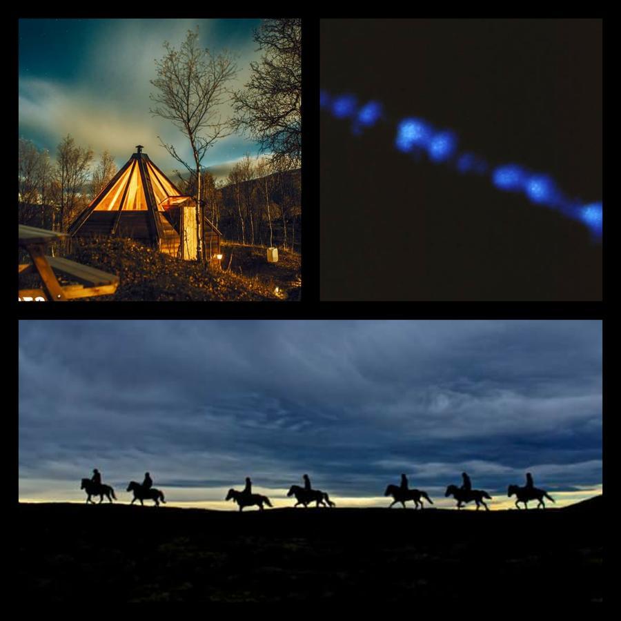 Appartamento Hessdalen Ufocamp Vårhus Esterno foto
